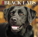 Just Black Labs 2018 Wall Calendar by No Author