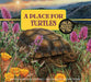 A Place for Turtles by Melissa Stewart
