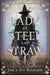 Lady of Steel and Straw by Erica Ivy Rodgers