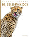 El Guepardo by Kate Riggs