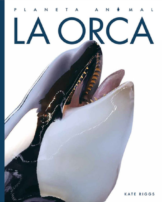 La Orca by Kate Riggs