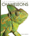 Chameleons by Valerie Bodden