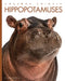 Hippopotamuses by Kate Riggs