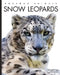 Snow Leopards by Valerie Bodden