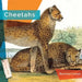 Cheetahs by Rachael Hanel
