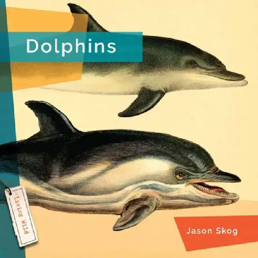 Dolphins by Jason Skog