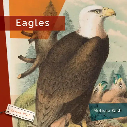 Eagles by Melissa Gish