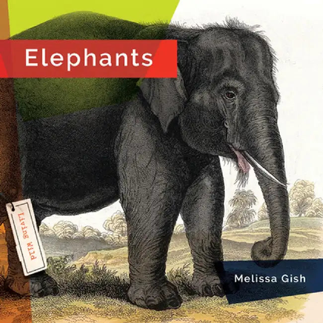 Elephants by Melissa Gish