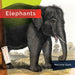 Elephants by Melissa Gish