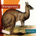 Kangaroos by Melissa Gish