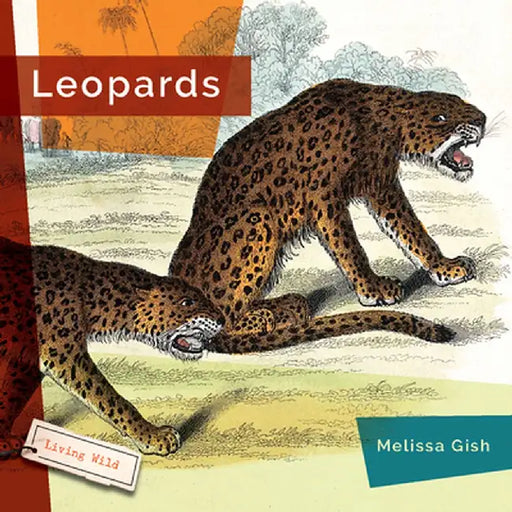 Leopards by Melissa Gish