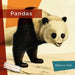 Pandas by Melissa Gish
