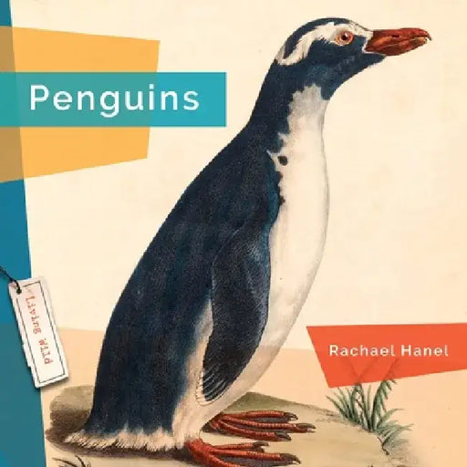 Penguins by Rachael Hanel