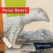 Polar Bears by Rachael Hanel