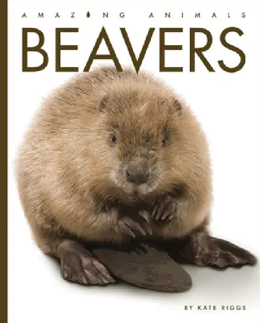 Beavers by Kate Riggs