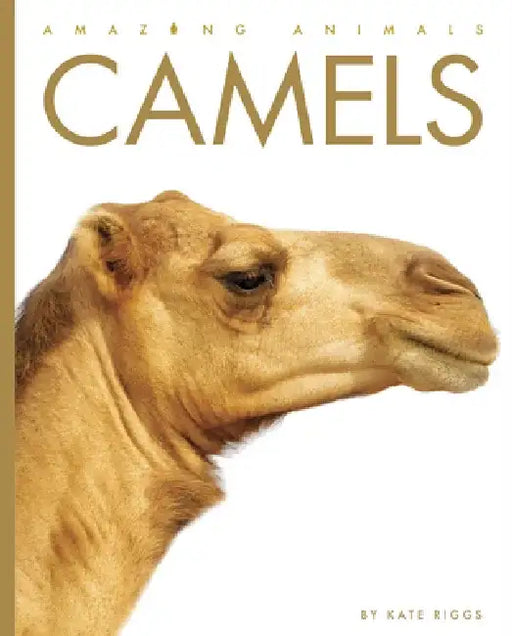 Camels by Kate Riggs