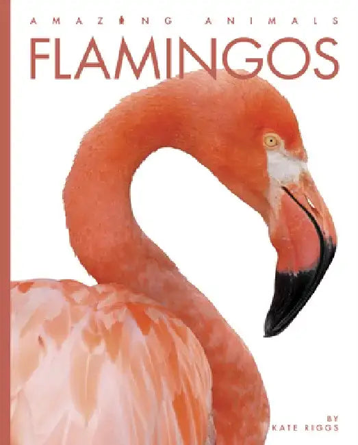 Flamingos by Kate Riggs