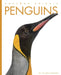 Penguins by Valerie Bodden