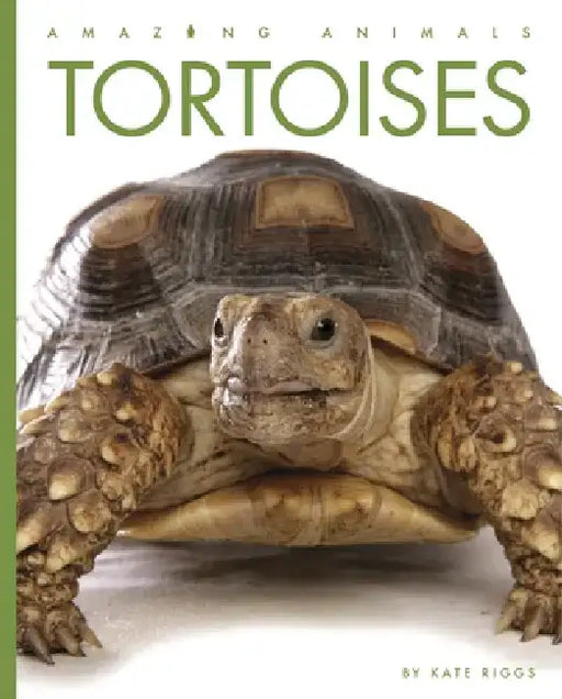 Tortoises by Kate Riggs