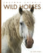Wild Horses by Kate Riggs