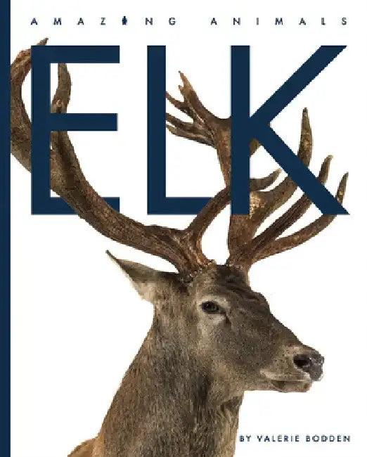 Elk by Valerie Bodden