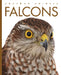 Falcons by Kate Riggs