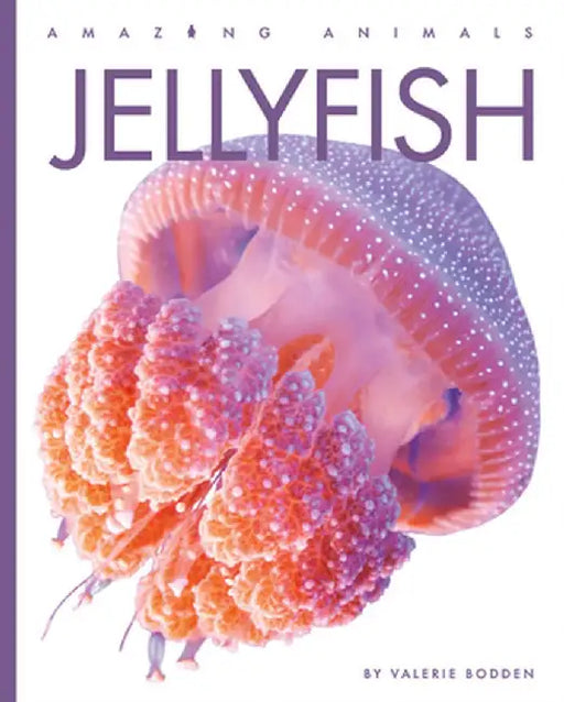 Jellyfish by Valerie Bodden