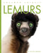 Lemurs by Valerie Bodden