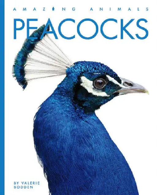 Peacocks by Valerie Bodden