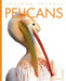 Pelicans by Valerie Bodden