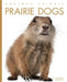 Prairie Dogs by Valerie Bodden