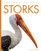 Storks by Kate Riggs
