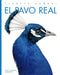El Pavo Real by Kate Riggs