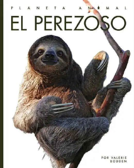 El Perezoso by Valerie Bodden