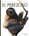 El Perezoso by Valerie Bodden