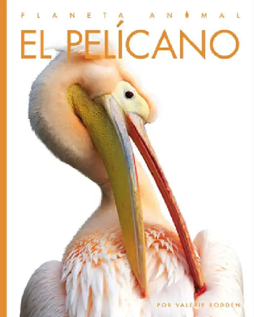 El Pelícano by Valerie Bodden