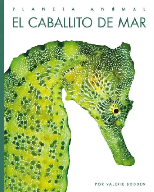El Caballito de Mar by Valerie Bodden