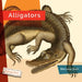 Alligators by Melissa Gish