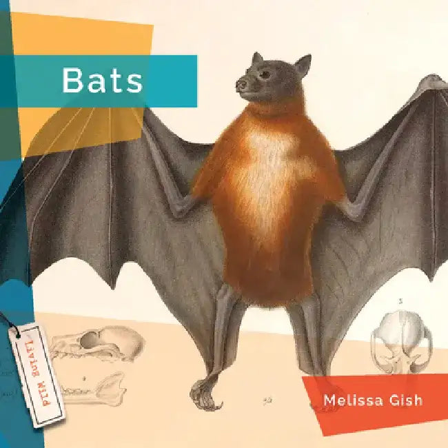 Bats by Melissa Gish
