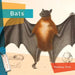 Bats by Melissa Gish