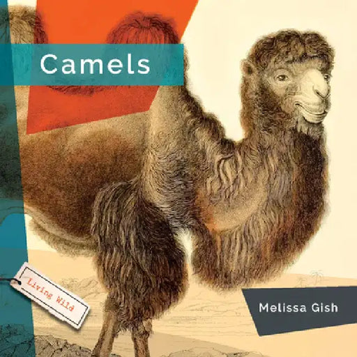 Camels by Melissa Gish