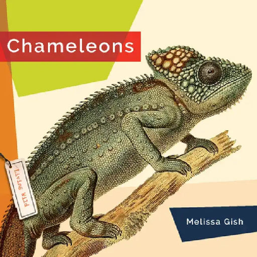 Chameleons by Melissa Gish