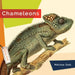 Chameleons by Melissa Gish