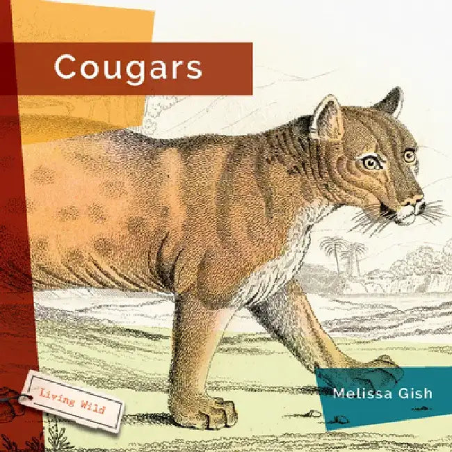 Cougars by Melissa Gish