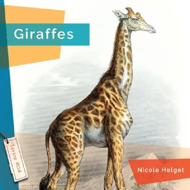 Giraffes by Nicole Helget