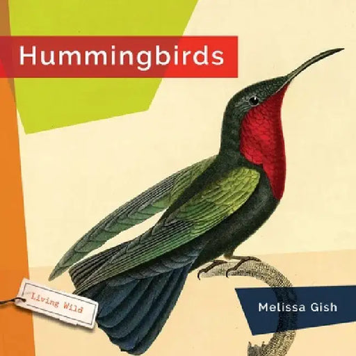 Hummingbirds by Melissa Gish
