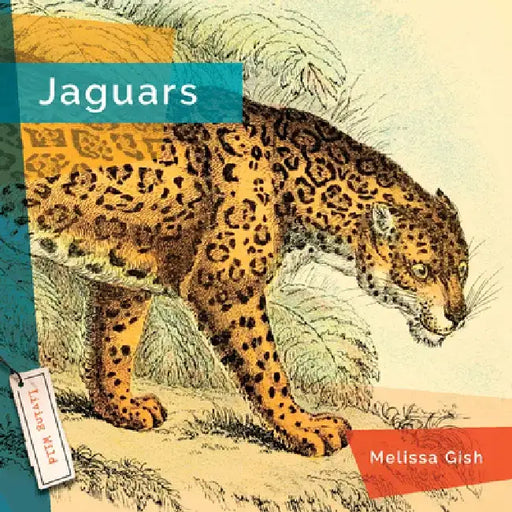 Jaguars by Melissa Gish