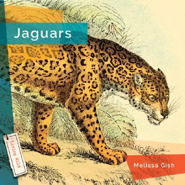 Jaguars by Melissa Gish