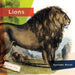 Lions by Rachael Hanel