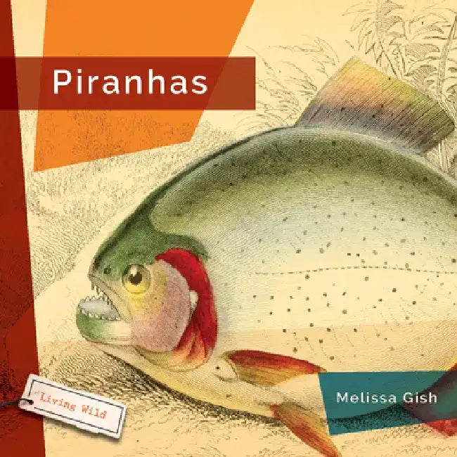 Piranhas by Melissa Gish